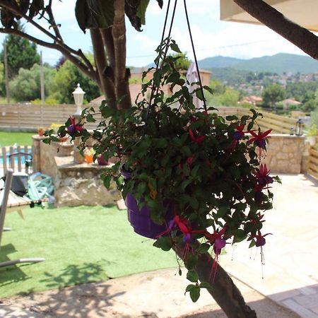 Apartament Vall De Montserrat Castellbell i Vilar エクステリア 写真